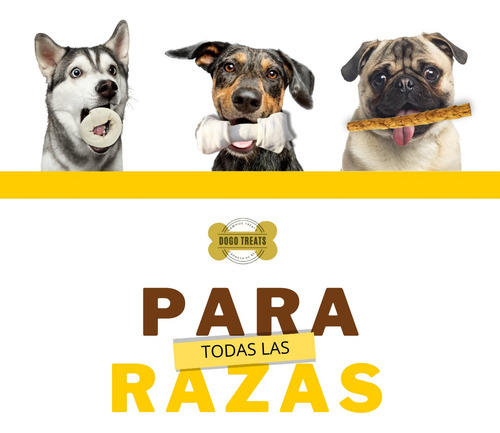 Premio Para Perro De Carnaza 10 Kilos Hueso 4-7 Cm