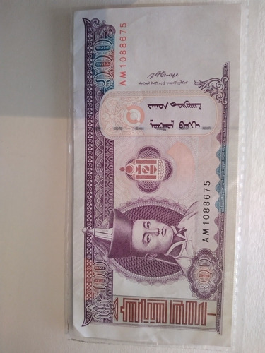 Billete De Mongolia 100 Tugrik 2008 Serie Am Nro 1088675