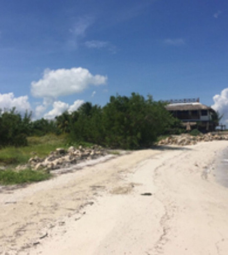 Venta De Terreno En La Playa Holbox