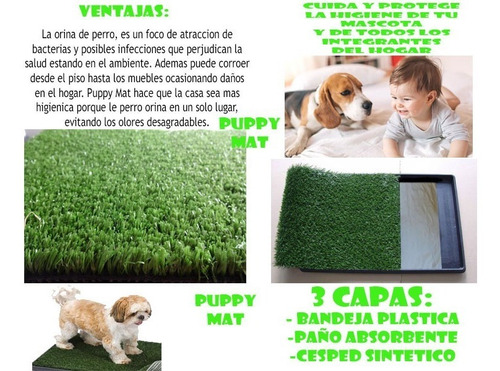 Repuesto Para Bandeja Sanitaria Cesped Sintetico 40x40