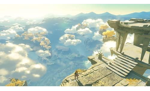 The Legend Of Zelda Breath Of The Wild Edición Estándar Swit