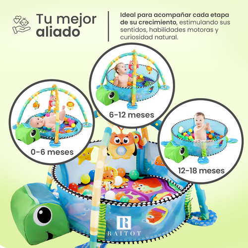 Gimnasio Bebes Pelotero Tortuga Manta Didactica Alfombra Raitot