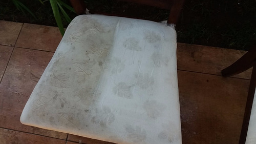 Limpieza De Alfombras Y Piso Flotante