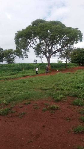 Imagem 18 de 25 de Fazenda Com 178 Hectares Rica Em Agua Em Felixlandia Mg - 36425