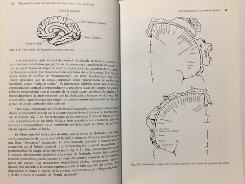 Neurología Del Habla Y Del Lenguaje. R Love. Neurociencia