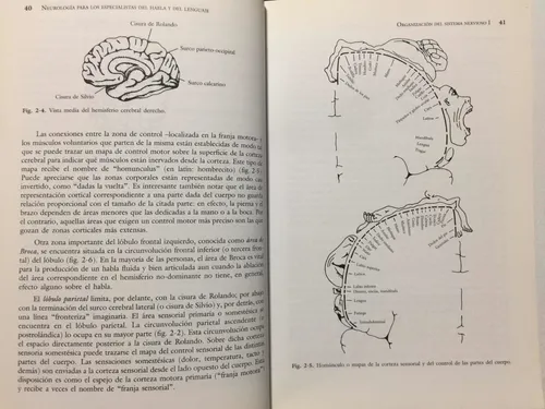 Neurología Del Habla Y Del Lenguaje. R Love. Neurociencia
