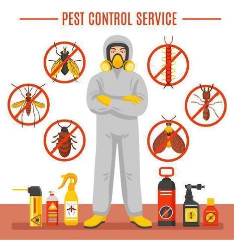 Bio Exterminador De Insectos Y Plagas, Pest Control, 1 L