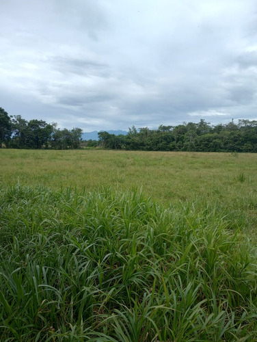 Vendo / Permuto Hermosa Finca Cumeral Y Restrepo