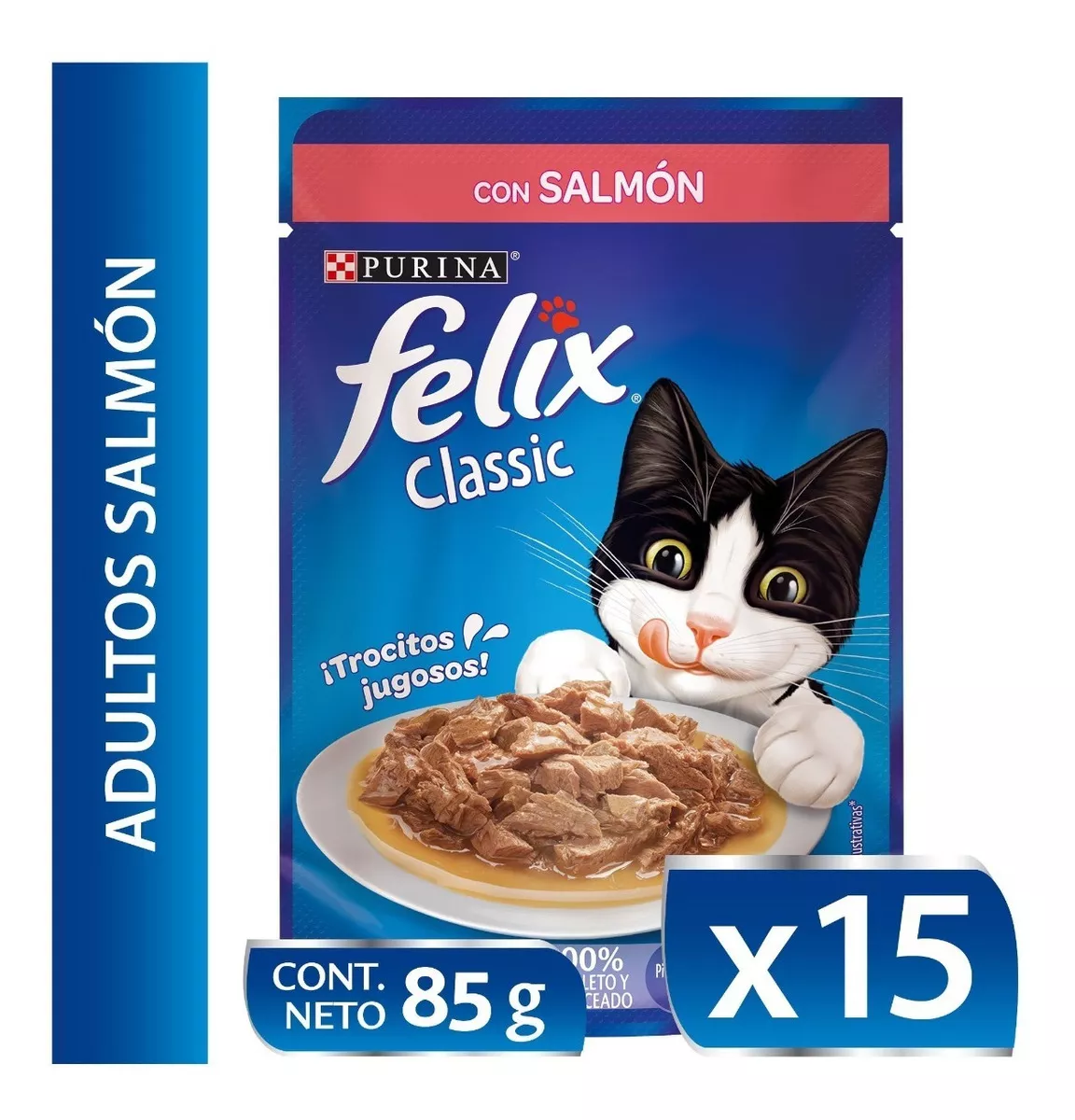 Tercera imagen para búsqueda de felix el gato