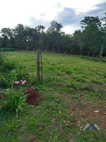 Imagem 11 de 15 de Chácara Com 2 Dormitórios À Venda, 30000 M² Por R$ 500.000,00 - Agua Das Flores - Jataizinho/pr - Ch0155