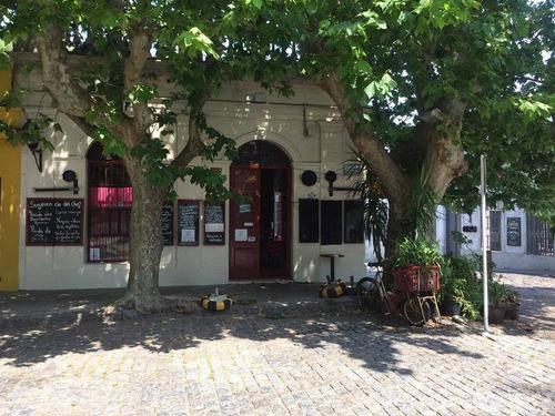 Locales Comerciales Alquiler Colonia Del Sacramento