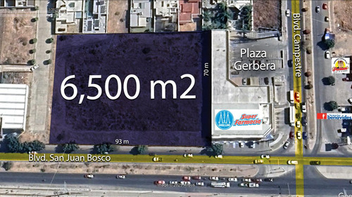 Terreno En Renta Blvd. San Juan Bosco Y Blvd. Campestre