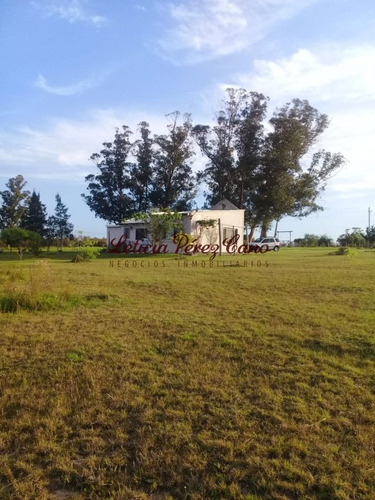 Imagen 11 de 17 de Venta Chacra De 5 Hectáreas Camino Los Ceibos