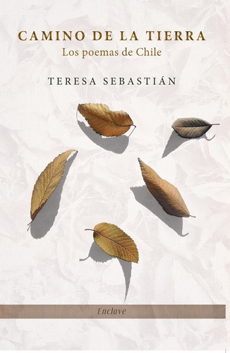 Camino De La Tierra, De Sebastian, Teresa. Editorial Enclave De Libros, Tapa Blanda En Español