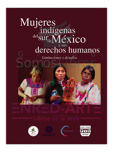 Mujeres Indígenas Del Sur De México Y Sus Derechos Humanos, 