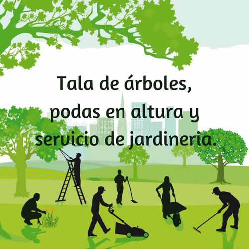 Imagen 1 de 10 de Poda Y Tala De Árboles Canelones, Parque Del Plata