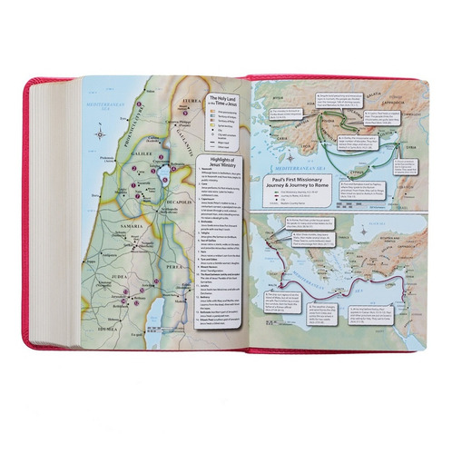 Imagen 4 de 10 de Biblia En Inglés King James Version Chica Letra Grande Rosa