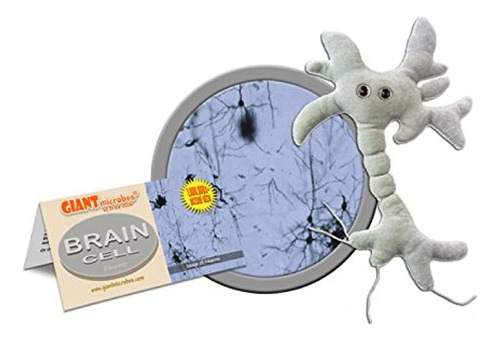 Gigante Microbios Brain Cell (neuron) Peluche