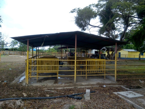 Imagen 5 de 27 de Se Vende Finca En Caicara De Maturin Sec Bajo Gde Ve02-1143cai-mtru