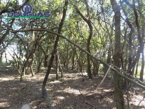 Imagem 2 de 15 de 2 Ha ,800 Mts Do Asfalto. - 845
