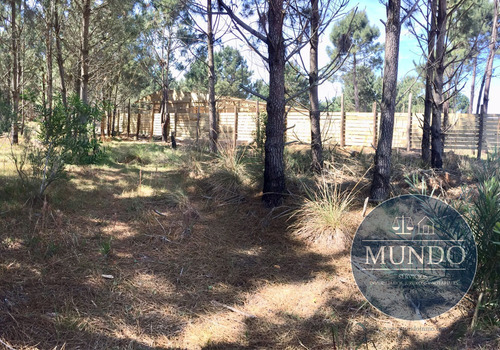 Venta De Terreno En Punta Del Diablo Bosques De La Viuda