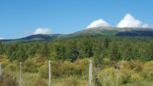 Sierra De Las Animas 401ha Forestadas Con Muy Buen Casco A Minutos Del Mar