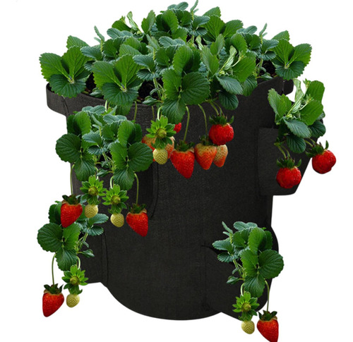 Bolsa De Cultivo Para Morango Saco De Plantio De Morango Pla