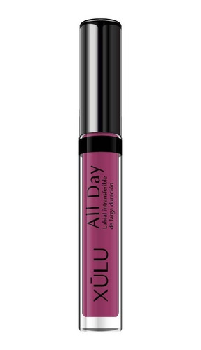Imagen 1 de 3 de Labial Larga Duracion Intransferible All Day Ciruela