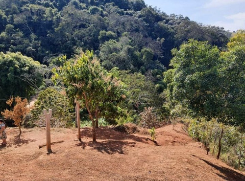 Imagem 29 de 30 de Chácara Com 2 Dormitórios À Venda, 2000 M² Por R$ 250.000,00 - Sete Voltas - Taubaté/sp - Ch0135