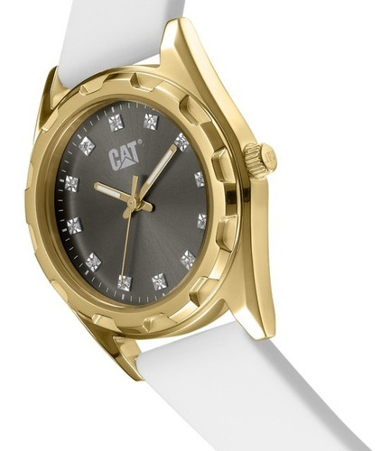 Imagen 2 de 8 de Reloj Caterpillar Mujer California Lady Acero Silicona
