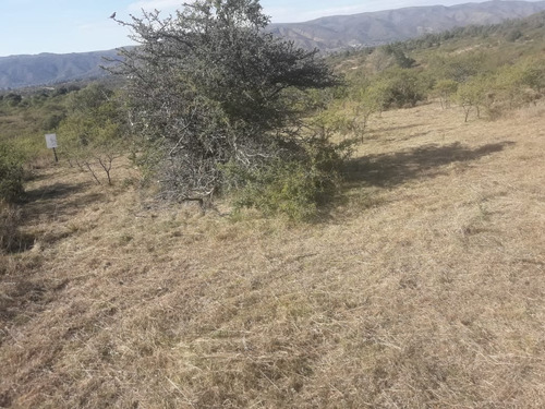 Imagen 6 de 11 de Lote 1500 M2 Tierra El Sauce Villa General Belgrano - Córdoba