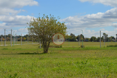 Imagen 17 de 30 de Terreno Lote En Venta Ubicado En Manuel B Gonnet, La Plata