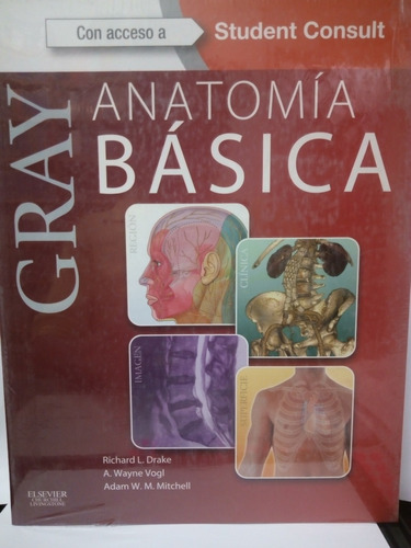Anatomía Básica De Gray 
