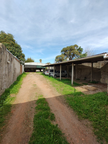 516 E/- 6bis Y 7. Vendo Local Y Cocheras S/ Lote 10 X 40 Mts. Retasado!! Oportunidad! Antes U$s 75.000.- Ahora U$s 59.000.-