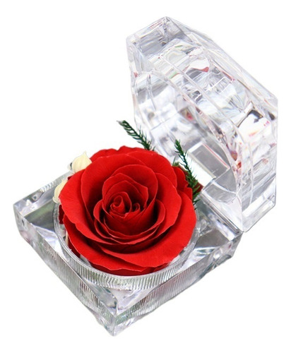 Caja Anillo Regalo San Valentín Con Rosa Flores Preservadas