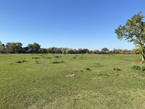 Terreno En Venta De 12 Hectáreas En Freixas