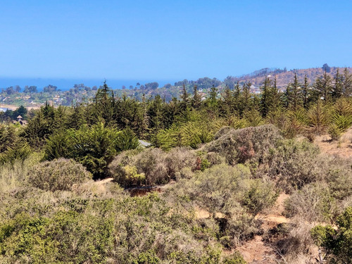 Interesante Propiedad En Venta De 4 Hectáreas En Cachagua