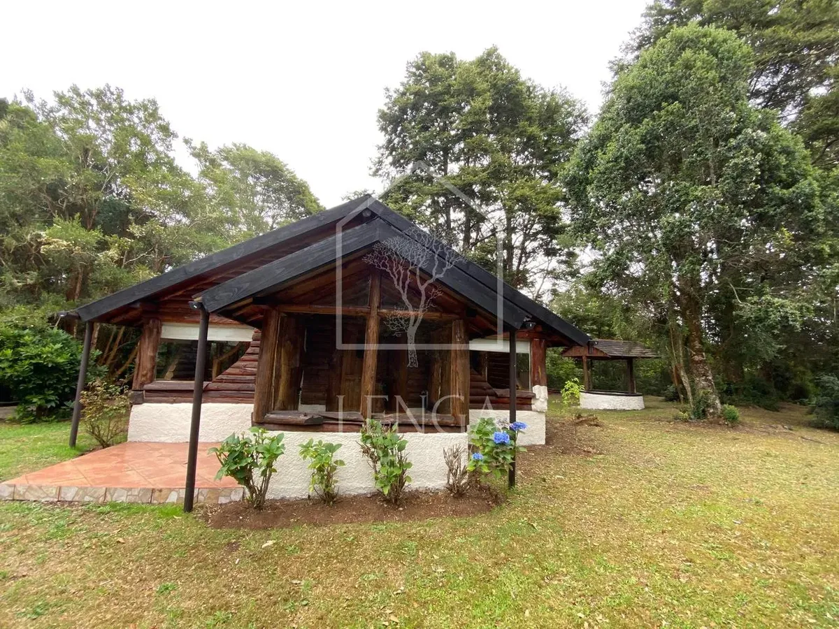Imagen 4 de 20 de 3,1 Ha Con Cabaña A 700m De Hallazgo Arqueológico Monteverde