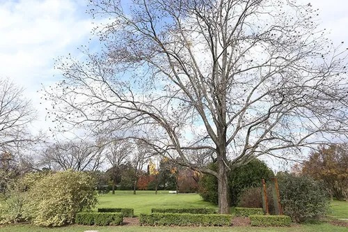 Imagen 6 de 12 de Venta Parcela Libre - Cementerio Jardín De Paz - Pilar