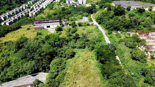 Terreno En Venta En Los Anaucos Cda 24-8682 Yf