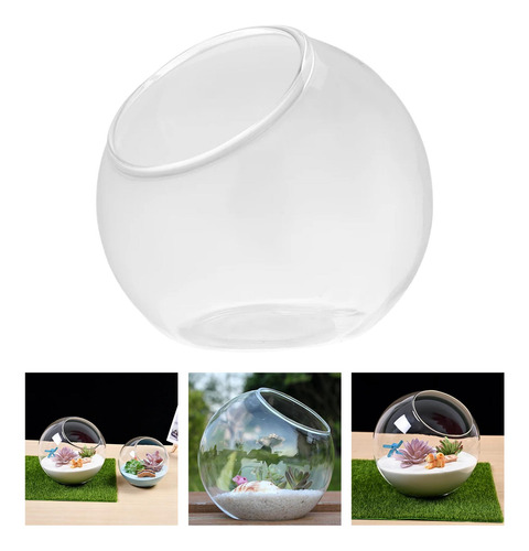 Terrario Contenedor Transparente Florero De Diámetro 12cm