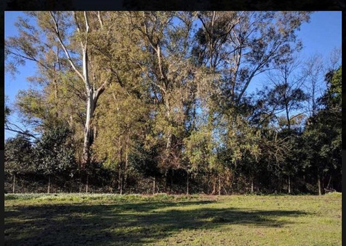 Imagen 3 de 15 de Venta De Lote De 460m2 En Canning, Ezeiza
