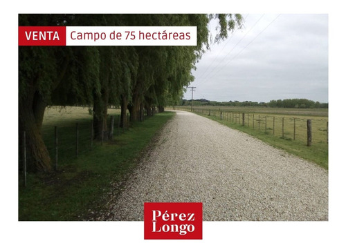 Imagen 1 de 12 de Campo De 75 Hect&aacute;reas Sobre Ruta 88 