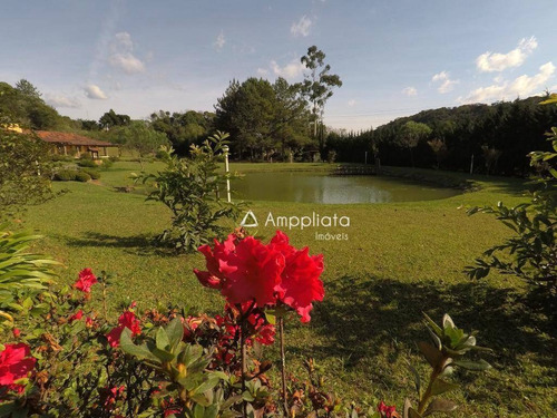 Chácara Com 4 Dormitórios À Venda, 20923 M² Por R$ 1.580.000,00 - Quatro Barras - Quatro Barras/pr - Ch0048