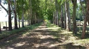 Imagen 11 de 11 de Campo De 6 Ha Totalmente Instalado