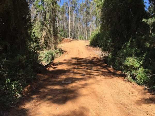 Sitio En Venta En Pichilemu