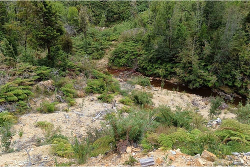 Parcela Con Acceso A Río Y Rol Propio