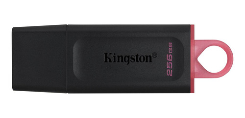 Kingston Usb Datatraveler Dtexodia 256 Gb Usb 3.2 Gen 1