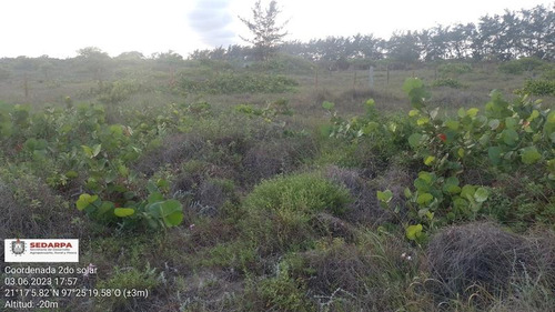 Venta Lote 400 M² Playa Tamiahua Veracruz