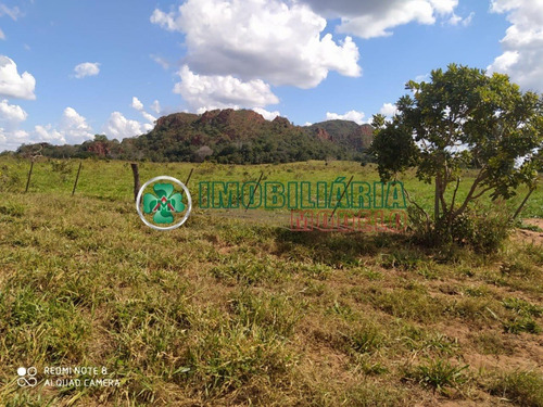 Imagem 12 de 14 de Fazenda Para Venda Em Barra Do Garças - Mt (cód. 192) Fazenda De Pecuária Em Toricueije Para Uso Em Pecuária.